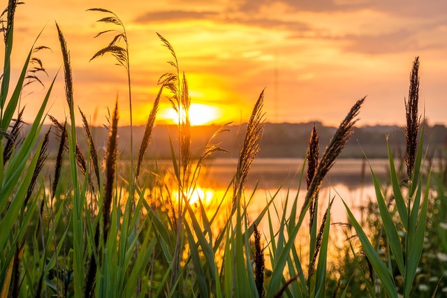 sunrise 1670979 1280