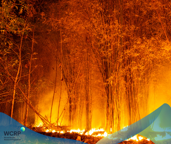 Wildfire 2