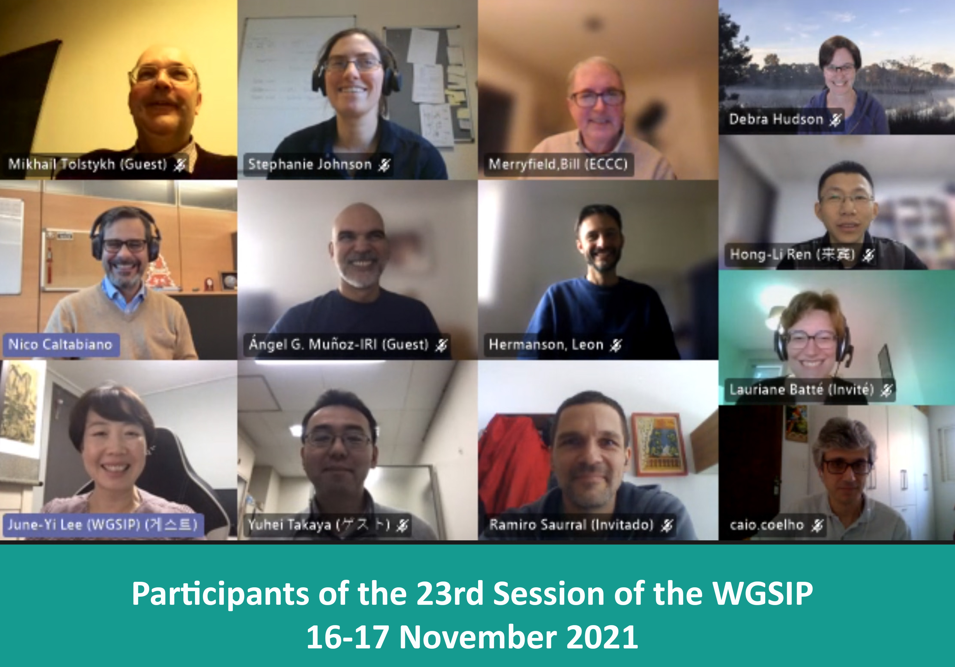 Participants to the 23rd session of the WGSIP
