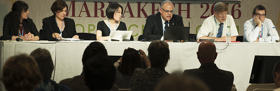 COP22 Panel Discussion on Fundamentals of Climate Research