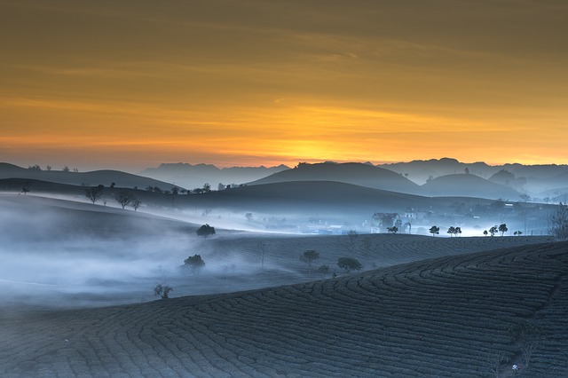 land use panorama of vietnam fields