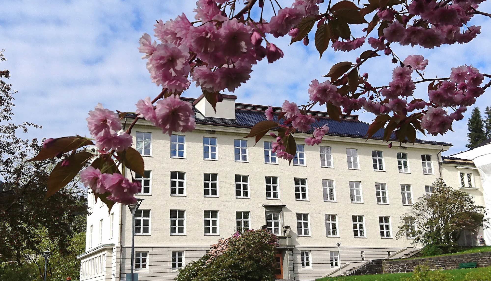 Bjerknes Centre for Climate Research