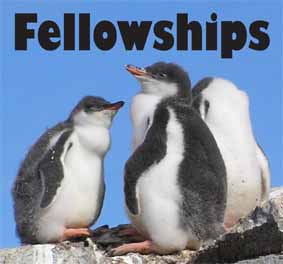 SCAR WMO Fellowship logo