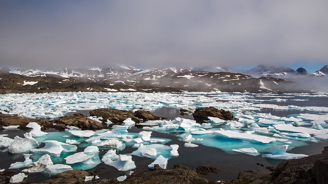 2021 Arctic Report Card