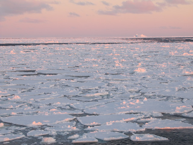 Petra Heil - sea ice