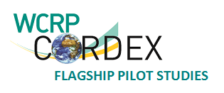 Flagship Pilot Studies