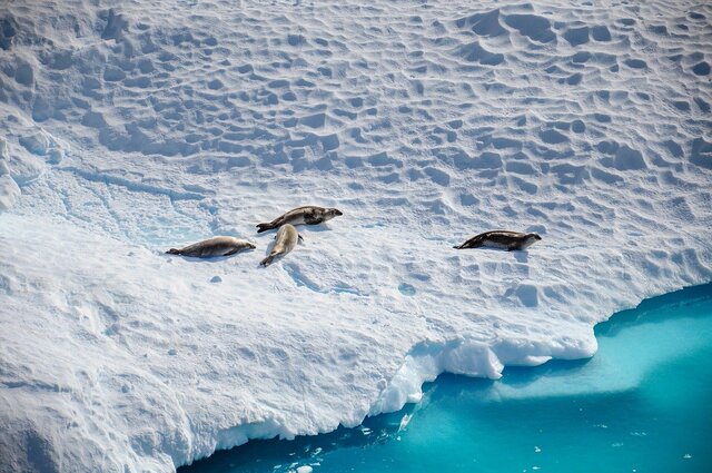 Pixabay antarctica 8109879 1280