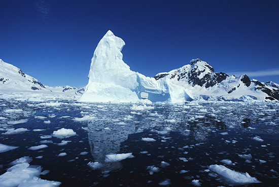 Polar Year