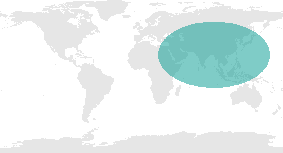 WCRP Regional Activities in Asia